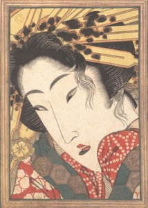 1824年の春の雪で冷やされた情熱から芸者を拒否.