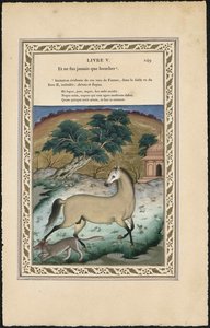 馬とオオカミ馬とオオカミ、1837-1839。 作： Imam Bakhsh Lahori