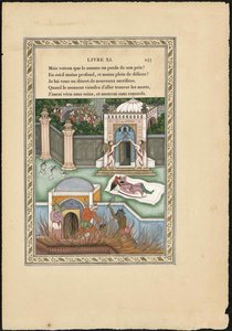ソン・ダンの居住者、Mogol The Moguls Dream、1837-1839。 作： Imam Bakhsh Lahori