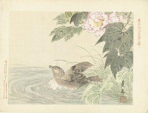ピンクの花の近くで鳥を水浴び 桂年花鳥画（シリーズタイトル） 経年課長画譜 作： Imao Keinen