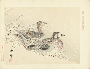 雪の中のカモの群れ ケネン花鳥画（連載タイトル） 経年課長画譜 作： Imao Keinen
