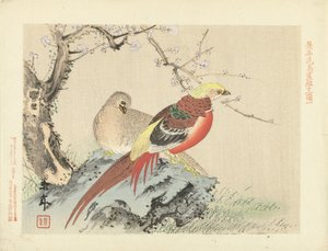 岩の上のキジの群れ 桂年花鳥画（シリーズタイトル） 経年課長画譜 作： Imao Keinen