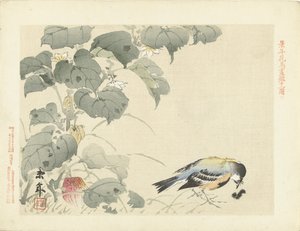 毛虫を持つ鳥 桂年花鳥画（シリーズ名） 経年課長画譜 作： Imao Keinen