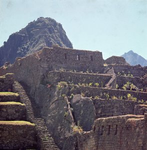 マチュピチュの城塞のテラスの建物の遺跡 作： Incan