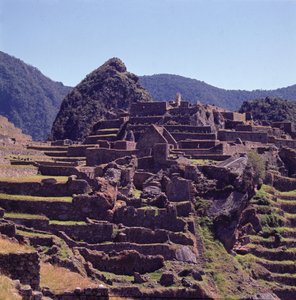 マチュピチュの城塞のテラスの建物 作： Incan