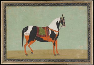 19世紀の馬、アルバムフォリオ（不透明な水彩画と紙の上の金） 作： Indian School