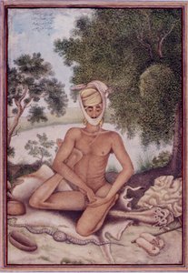 追加 27255 fol.370v A Naked Ascetic、James Skinner 大佐 (1778-1841) 1825 年に編纂された「Tashrih al-aqvam」より (紙にグワッシュ) 作： Indian School