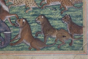 彼自身のキングを発音したジャッカルからの詳細、c.1560-65（紙に不透明なトイレと金） 作： Indian School