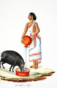 野生の豚に給餌（紙にトイレ） 作： Indian School