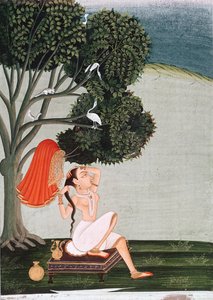 彼女の髪をドレッシング彼女のトイレでインドの女性 作： Indian School