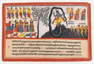クリシュナは蛇のカリヤを征服します、分散バガヴァタプラーナシリーズのページ、1775年頃（不透明なトイレと紙の上の金） 作： Indian School