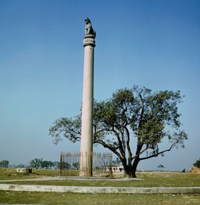 アショカ皇帝のライオンの柱（紀元前264〜223年頃） 作： Indian School
