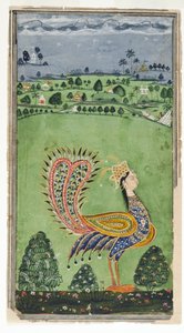女性の頭を持つ神話上の孔雀、ハイデラバード、1750年頃 作： Indian School