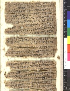 OMS OR 14915 f.5r カロシュティの白樺の樹皮写本の断片 作： Indian School