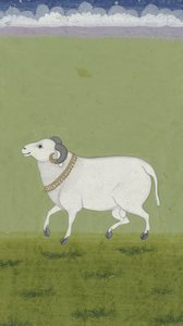 黄金の首輪付きラム、1700〜1799 作： Indian School