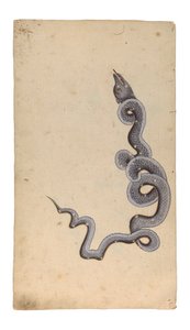 ドラゴンの星座：アルティンニン、1740年（紙に不透明なトイレ、インク、金） 作： Indian School