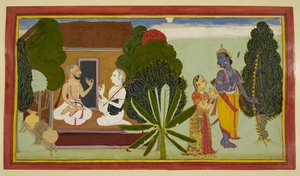  作： Indian School