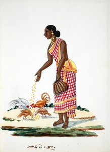 鶏に餌をやる女性（紙にトイレ） 作： Indian School