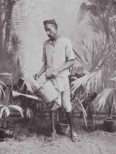 ボンベイ／ムンバイ：庭師（モノクロ写真） 作： Indian photographer