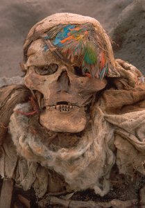 最近発掘された、高い身分の証である羽毛の頭飾りをつけた骸骨（2001年）（写真）。 作： Ira Block