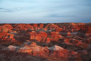 中国西部、新疆ウイグル自治区ゴビ砂漠のウー・カイ・ワン付近の彩岩、2007年（写真）。 作： Ira Block