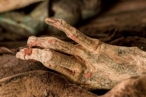 ミイラの体内からは、よく保存された皮膚と、手と腕に入れ墨が確認された。この時点で、このミイラは女性であることが判明したが、先に発見された "ポーラ "と呼ばれる戦いの棍棒が一緒に発見されたことから、非常に珍しいことであった。 作： Ira Block