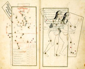 アル・スーフィの定星の書からの星座ジェミニ