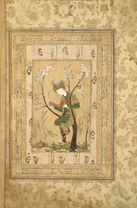 開花木の枝に座る青年、1560年代 作： Iranian Master