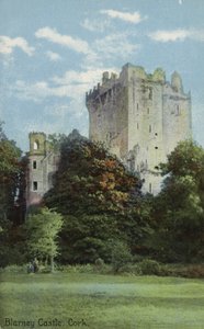 ブラーニー城、コーク 作： Irish Photographer
