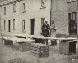 ドロヘダの土管作り（モノクロ写真 作： Irish Photographer