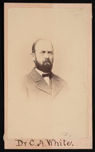 チャールズ・アビヤター・ホワイトの肖像 1826-1910, 1868. 作： Isaac Augustus Wetherby