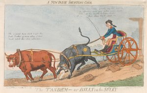 Ein neuer irischer Jaunting Carr. Das Tandem - oder Billy in seinem Sulky