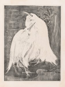 動物研究: 二頭の銀鷺 作： Isaac Oliver