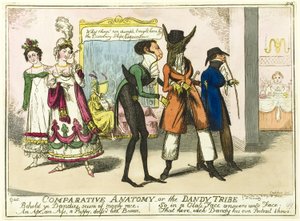 比較解剖学 作： Isaac Robert Cruikshank