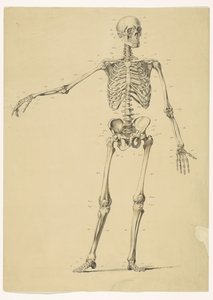 人骨、メモ付き 作： Isaac Weissenbruch