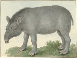 バク 作： Isaac van Haastert