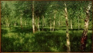 ビルケンハイン 作： Isaak Ilyich Levitan