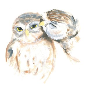 愛情深いフクロウたち