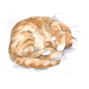 茶トラ猫のスケッチ