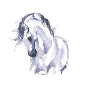 動く馬の習作
