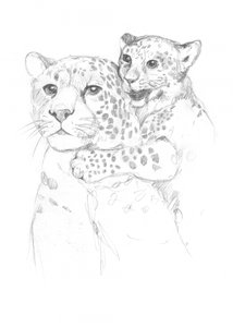 ヒョウ