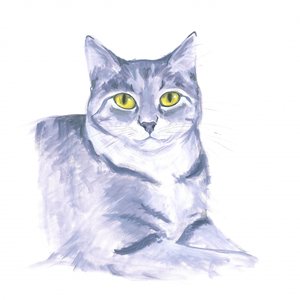 観察する猫