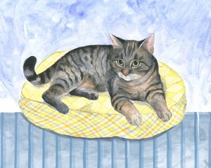 枕猫