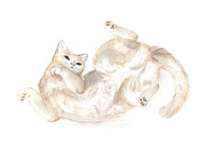 遊び好きな猫