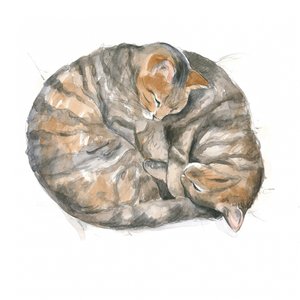 丸い猫たち