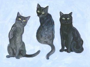 3匹の猫の習作