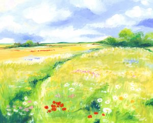 野花の草原
