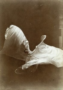 ホワイトダンスのロイ・フラー、1897 作： Isaiah West Taber