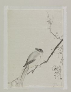 桜の木の枝にとまる鳥