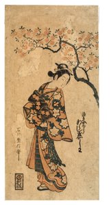 嵐 玉柏 作： Ishikawa Toyonobu